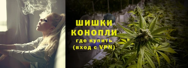 шишки Аркадак