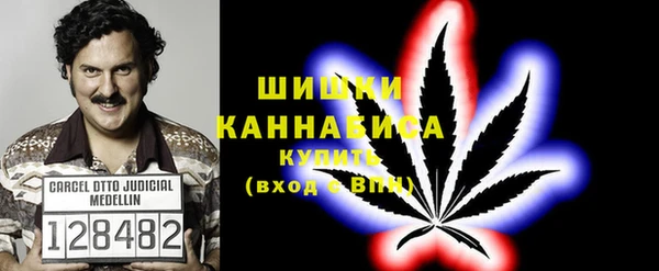 шишки Аркадак