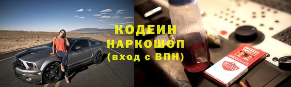 шишки Аркадак