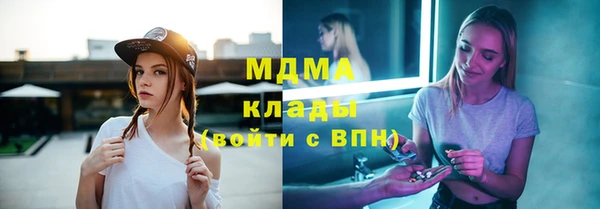шишки Аркадак