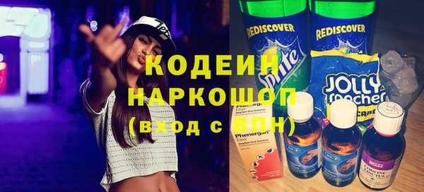 шишки Аркадак