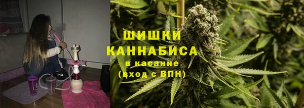 шишки Аркадак