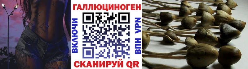 Галлюциногенные грибы Psilocybe  купить закладку  Покачи 